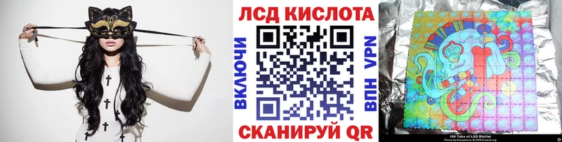 дарнет шоп  omg сайт  Марки 25I-NBOMe 1,8мг  Покачи 
