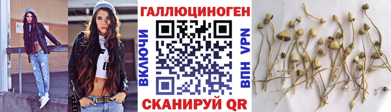 Псилоцибиновые грибы Cubensis  где купить наркоту  KRAKEN ТОР  Покачи 
